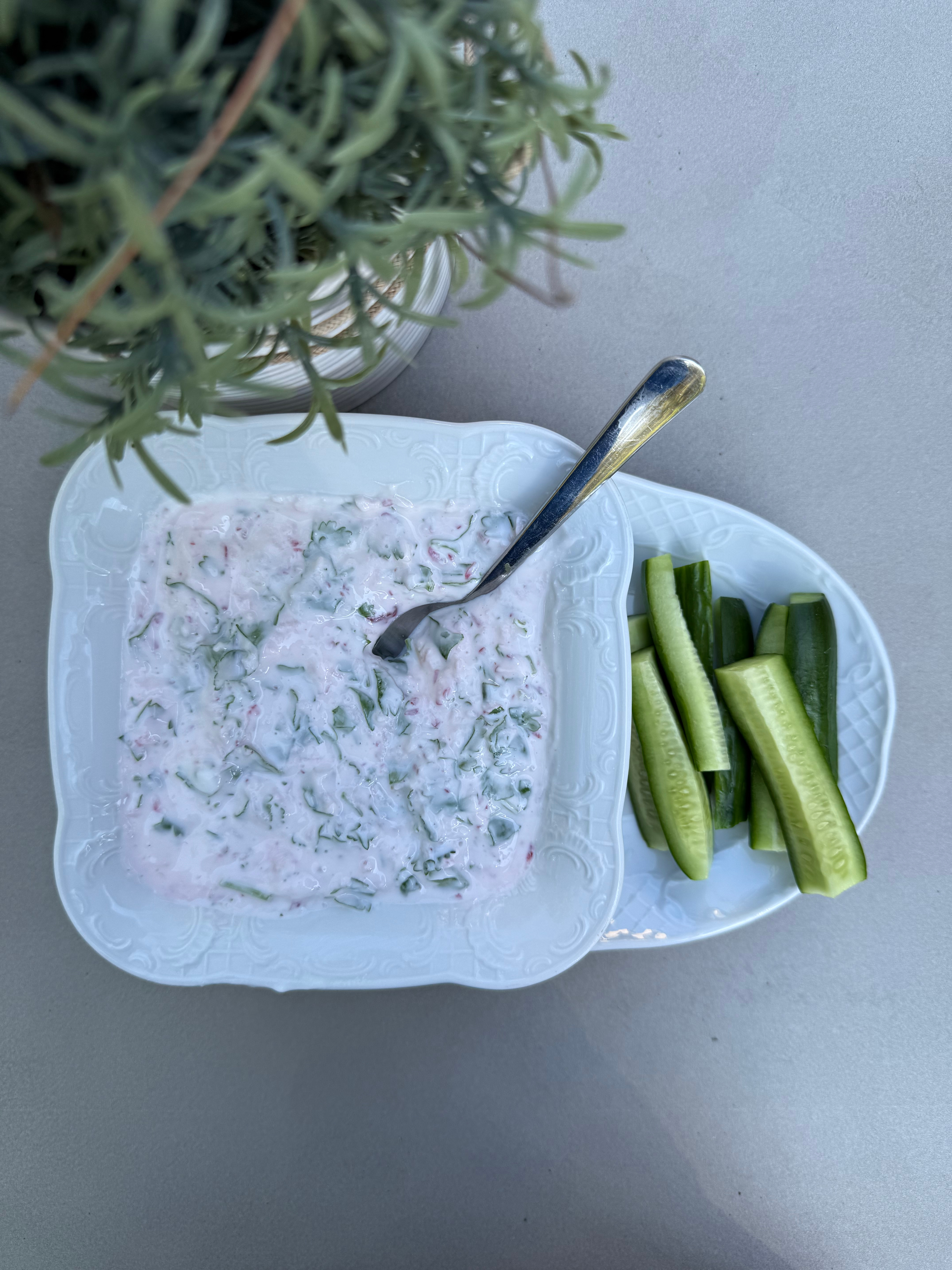 yogurt dip with radish and coriander